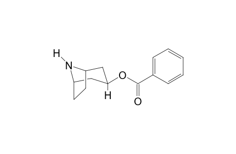 Nortropacocaine