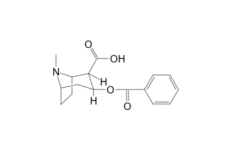 Benzoylecgonine