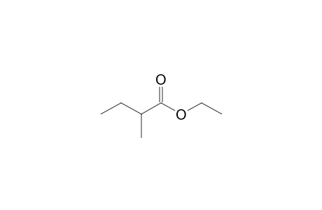 Ethyl 2-methylbutyrate