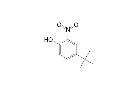 4-tert-Butyl-2-nitrophenol