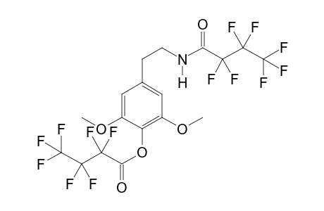 CP-A 2HFB