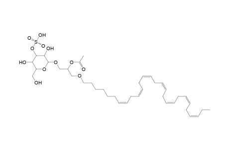 SMGDG O-28:7_2:0