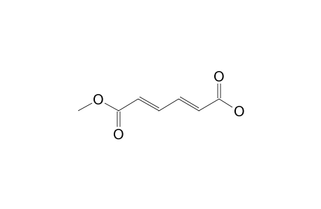 (2E,4E)-6-keto-6-methoxy-hexa-2,4-dienoic acid