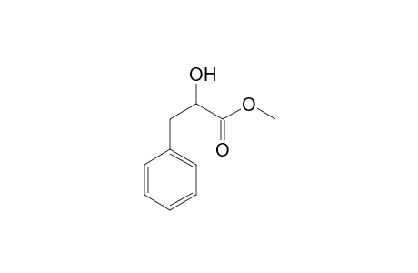 PAPULINE