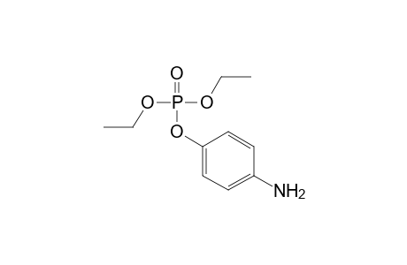 Aminoparaoxon