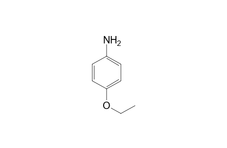 p-Phenetidine