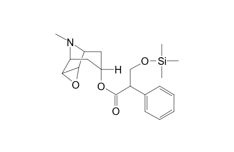 Scopolamine TMS