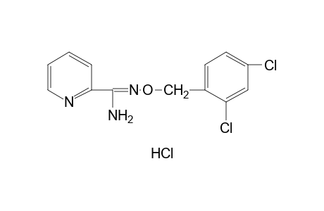 O-(2,4-DICHLOROBENZYL)PICOLINAMIDOXIME, MONOHYDROCHLORIDE