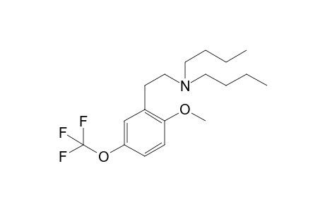 5TF-2C-H 2BU