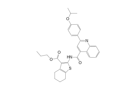 Propyl 2-({[2-(4-isopropoxyphenyl)-4-quinolinyl]carbonyl}amino)-4,5,6,7-tetrahydro-1-benzothiophene-3-carboxylate