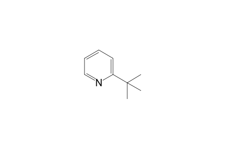 2-Tert-butylpyridine