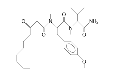 Majusculamide B