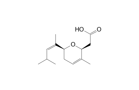 [(cis)-5-Methyl-2-[(Z)-4'-methylpent-2'-en-2'-yl]-3,6-dihydro-2H-pyran-6-yl]acetic acid