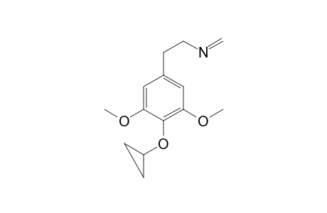 CP-A (CH2=O,-H2O)