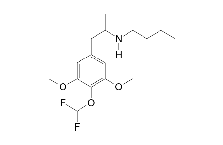 3C-DFM BU