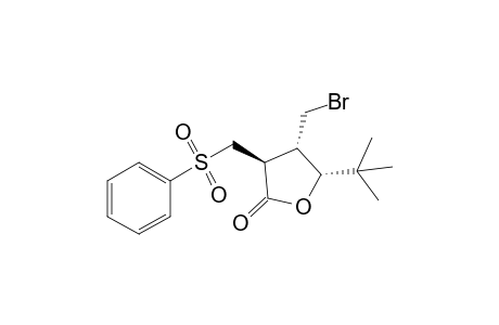 (3.beta.,4.alpha.,5.alpha.)-(+-)-3-Benzenesulfonylmethyl-4-bromomethyl-5-tert-butyldihydro-2(3H)-furanone