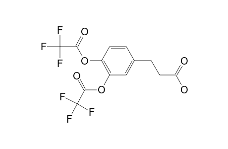 3,4-di(Trifluoroacetyloxy)hydrocinnamic acid