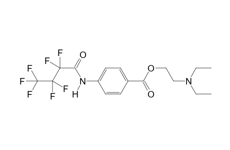 Procaine HFB