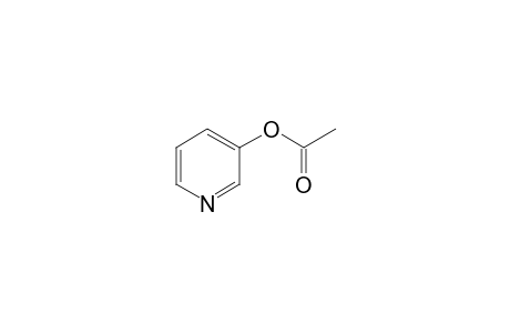 3-Pyridinol, acetate (ester)