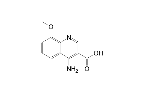 3-quinolinecarboxylic acid, 4-amino-8-methoxy-