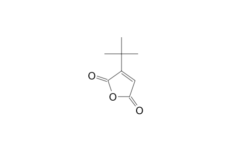 3-tert-Butyl-2,5-furandione