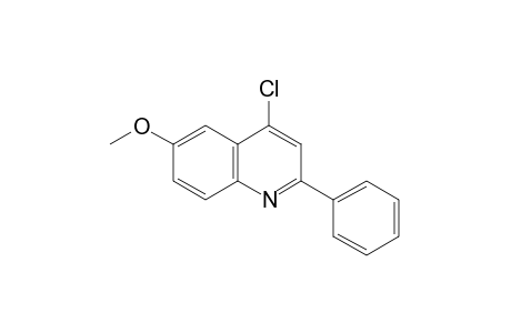 4-chloro-6-methoxy-2-phenylquinoline