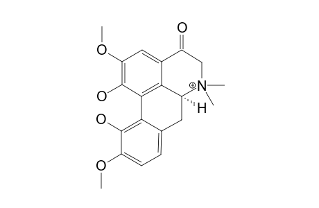 (S)-4-KETO-MAGNOFLORINE