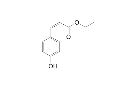 CIS-PARA-COUMARIC-ACID-ETHYLESTER