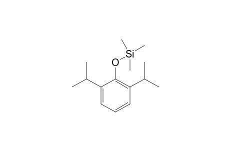 Propofol TMS