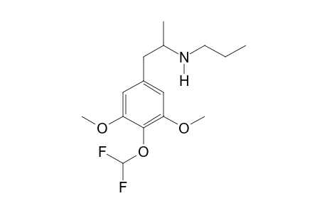 3C-DFM PR