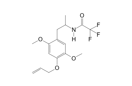 MALM TFA