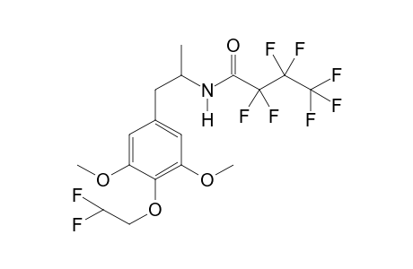 3C-DFE HFB