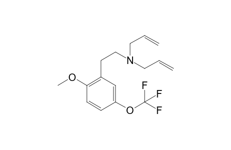 5tf-2C-H 2All