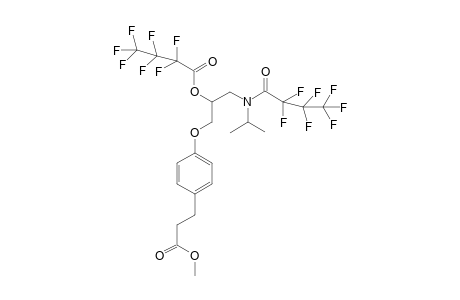 Esmolol 2HFB