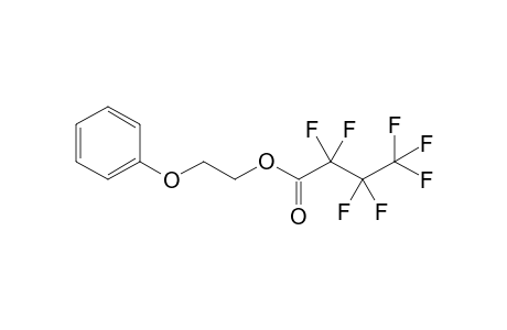 2-Phenoxyethanol, heptafluorobutyrate