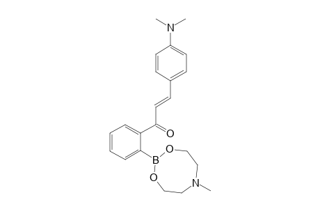 2'-[N-Methyl[6,1,3,2]azadioxyborylcyclooctyl]-4"-dimethylaminochalcone