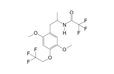 MTFEM TFA