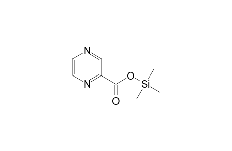 Pyrazine-2-carboxylic acid TMS