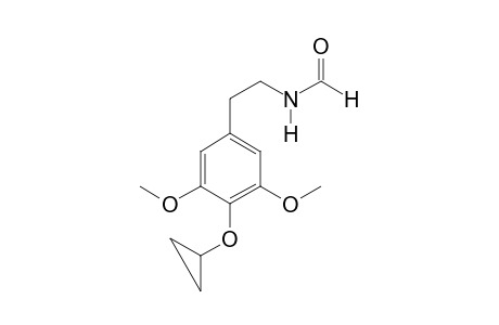 CP FORM