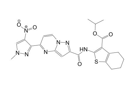 isopropyl 2-({[5-(1-methyl-4-nitro-1H-pyrazol-3-yl)pyrazolo[1,5-a]pyrimidin-2-yl]carbonyl}amino)-4,5,6,7-tetrahydro-1-benzothiophene-3-carboxylate
