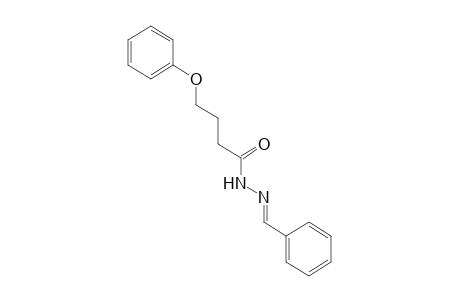 4-phenoxybutyric acid, benzylidenehydrazide