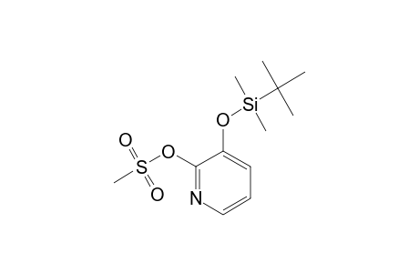 3-[(TERT.-BUTYLDIMETHYLSILYL)-OXY]-2-[(METHANESULFONYL)-OXY]-PYRIDINE