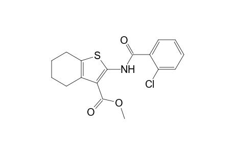 Methyl 2-[(2-chlorobenzoyl)amino]-4,5,6,7-tetrahydro-1-benzothiophene-3-carboxylate