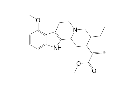 Speciocilliatine MS3_1