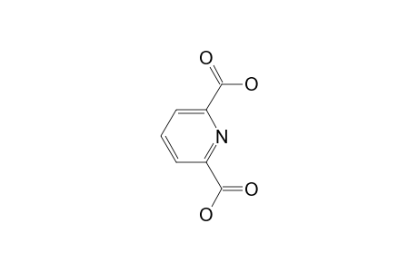 2,6-Pyridine dicarboxylic acid