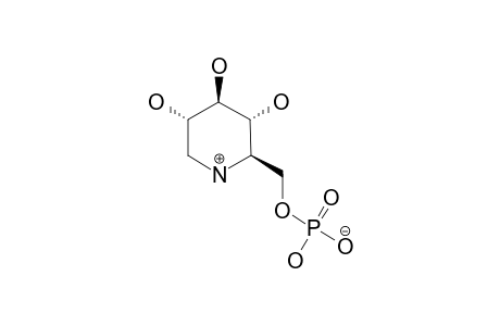 1-DEOXYNOJIRIMYCIN-6-PHOSPHATE