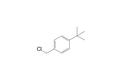 1-tert-Butyl-4-(chloromethyl)benzene