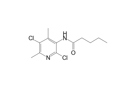 Pentanamide, N-(2,6-dichloro-4,6-dimethyl-3-pyridyl)-