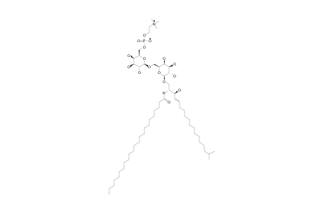 #6;N-TRICOSANOYL-1-O-[6-O-(2-TRIMETHYLAMMONIOETHOXY)-PHOSPHINATE-BETA-D-GALACTOPYRANOSYL-(1->6)-BETA-D-GALACTOPYRANOSYL]-(4E)-17-METHYLOCTADECASPHINGENI