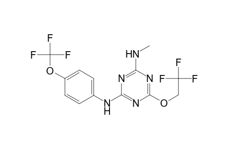 2-N-methyl-6-(2,2,2-trifluoroethoxy)-4-N-[4-(trifluoromethoxy)phenyl]-1,3,5-triazine-2,4-diamine
